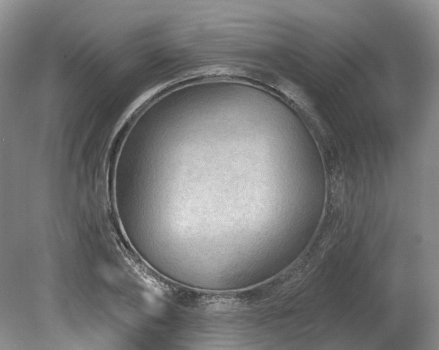 X0000080150886200612081319