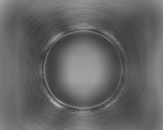 X0000080150889200612081319