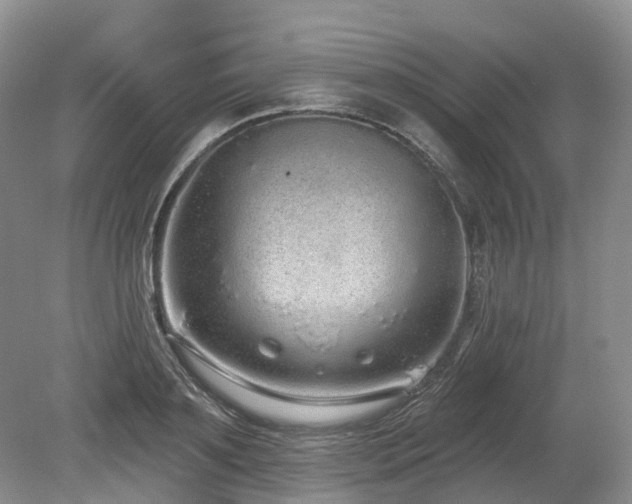 X0000080150891200612081319