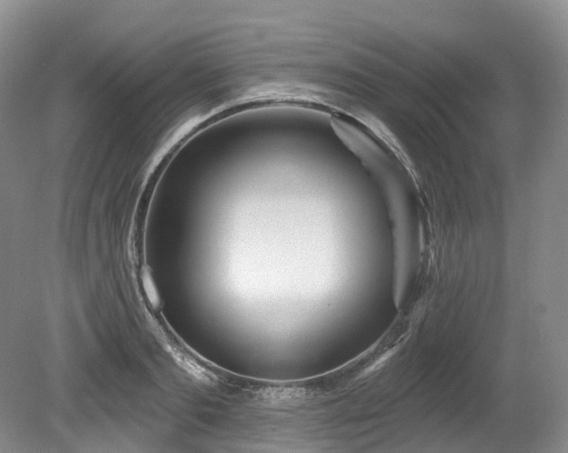 X0000080150893200612081319