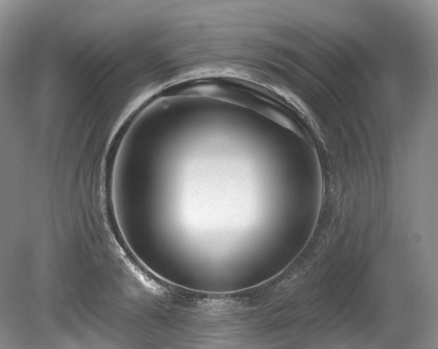 X0000080150894200612081319