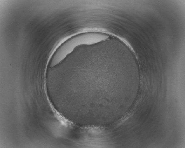 X0000080150895200612081319