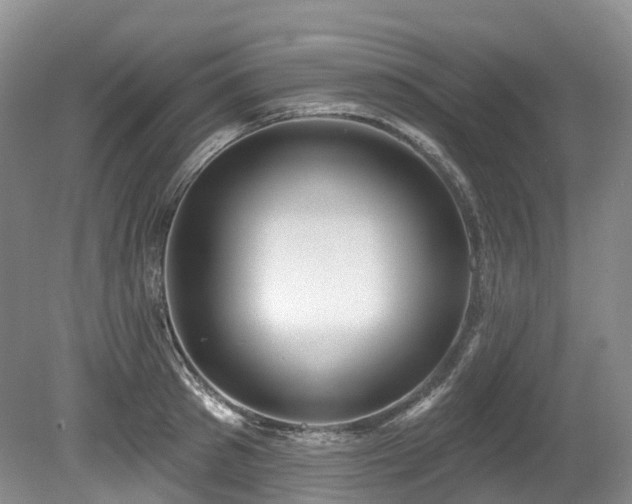 X0000080150897200612081319