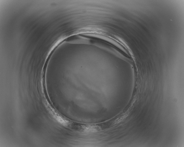 X0000080150899200612081319