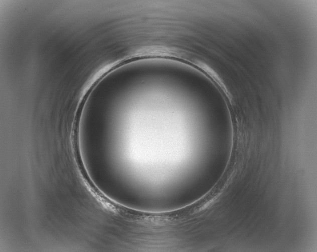 X0000080150901200612081318