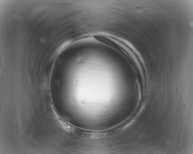 X0000080150905200612081318