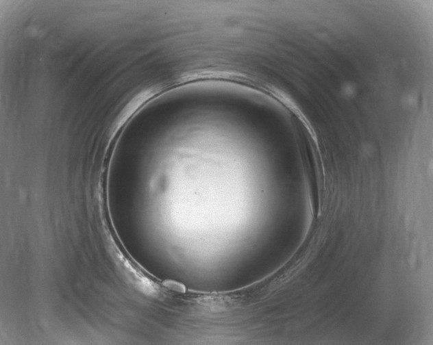 X0000080150906200612081318