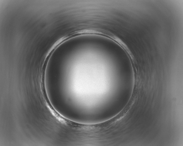 X0000080150909200612081318