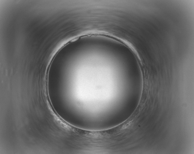 X0000080150911200612081318