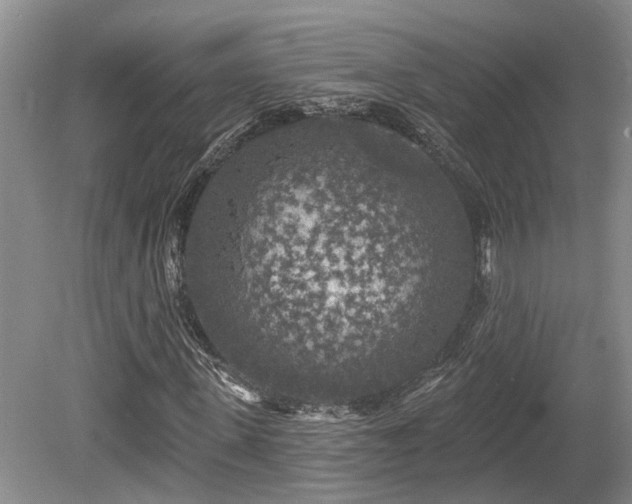 X0000080150915200612081318