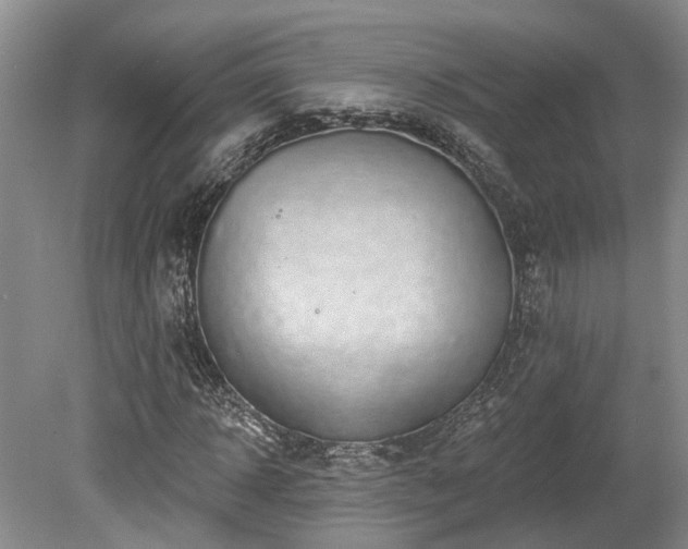 X0000080150918200612081318