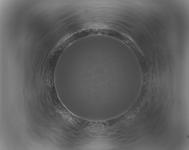 X0000080150919200612081318
