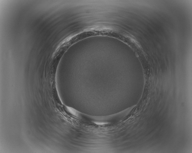 X0000080150920200612081318