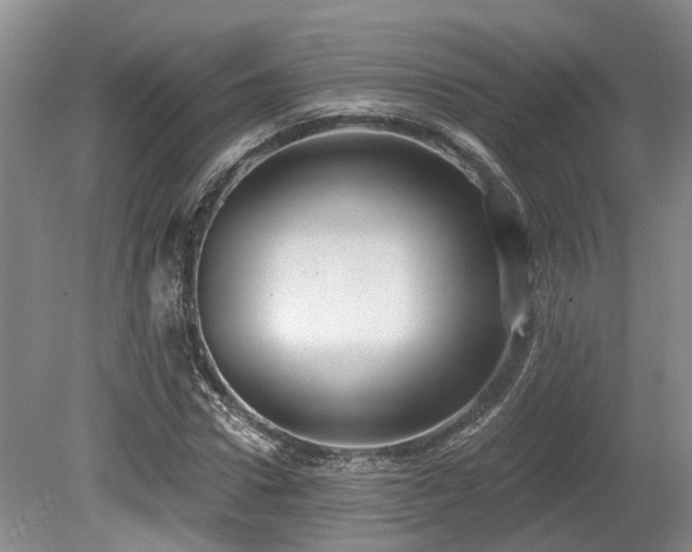 X0000080150922200612081318