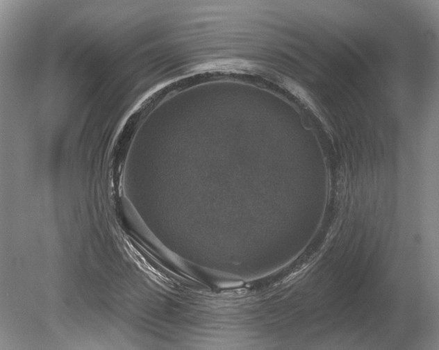 X0000080150923200612081318