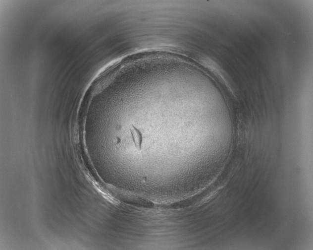 X0000080150924200612081318