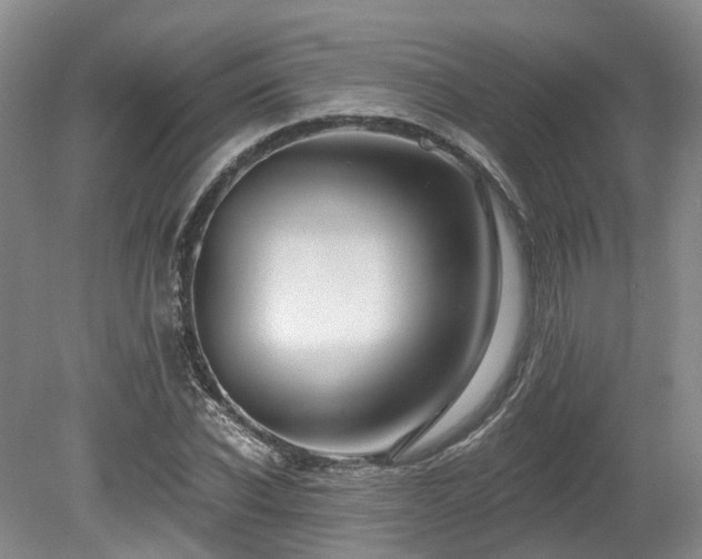 X0000080150926200612081318
