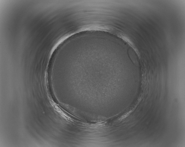X0000080150928200612081318