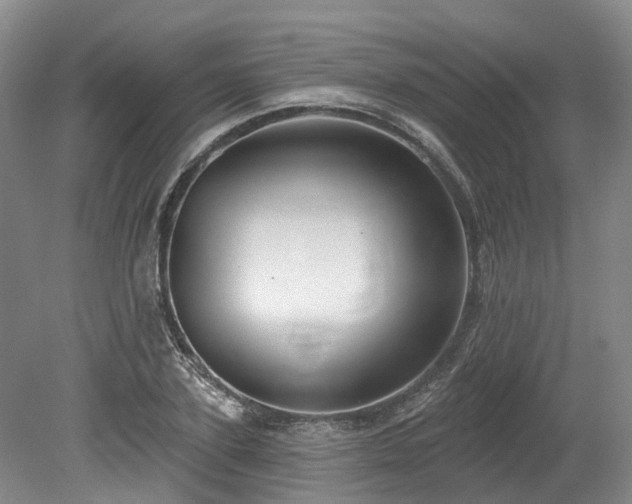 X0000080150931200612081318