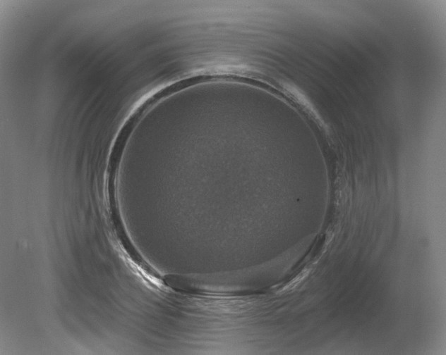 X0000080150932200612081318