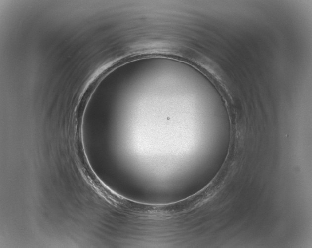 X0000080150933200612081318