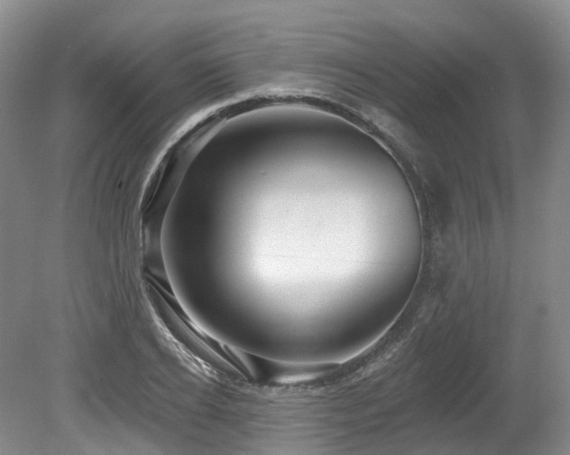 X0000080150934200612081318