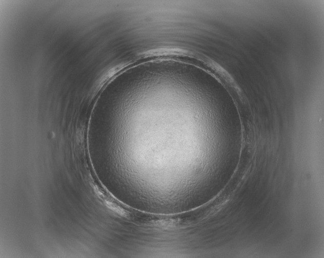 X0000080150937200612081318