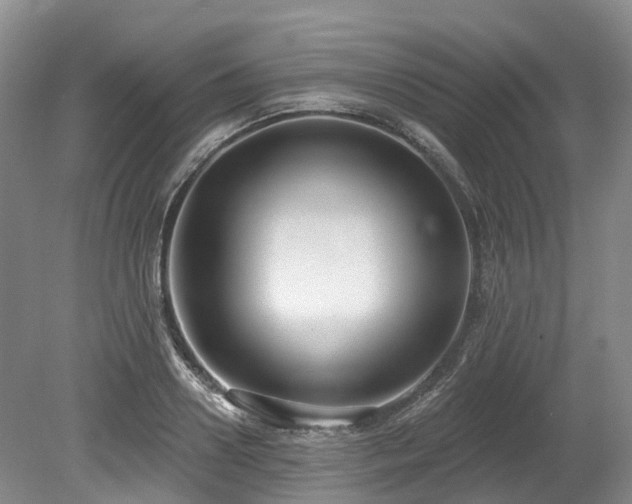 X0000080150938200612081318