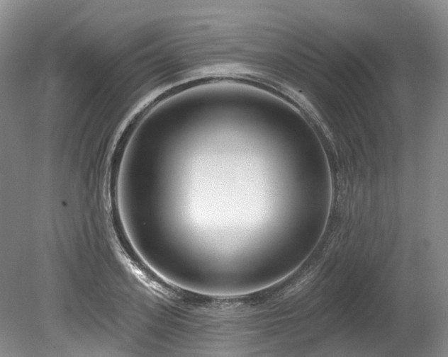 X0000080150939200612081318