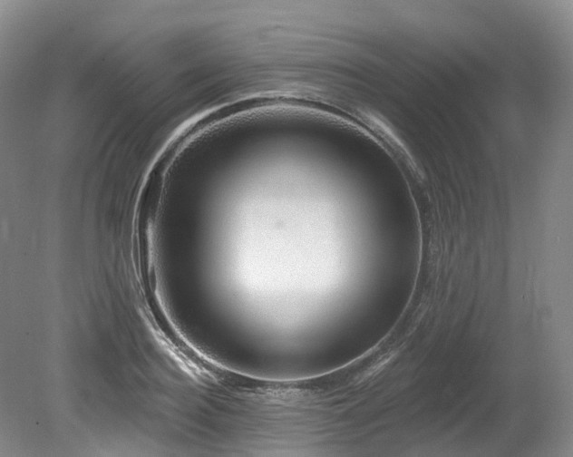 X0000080150940200612081318