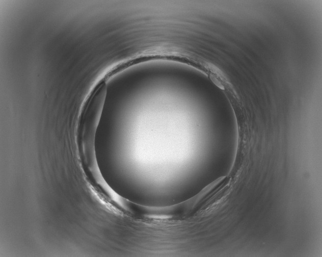 X0000080150942200612081318