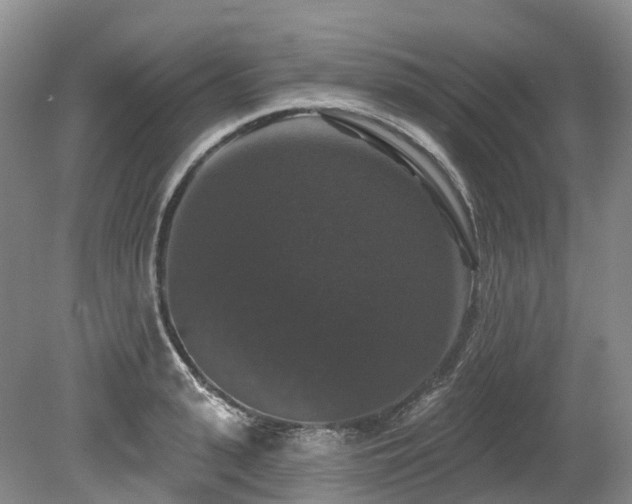 X0000080150943200612081318