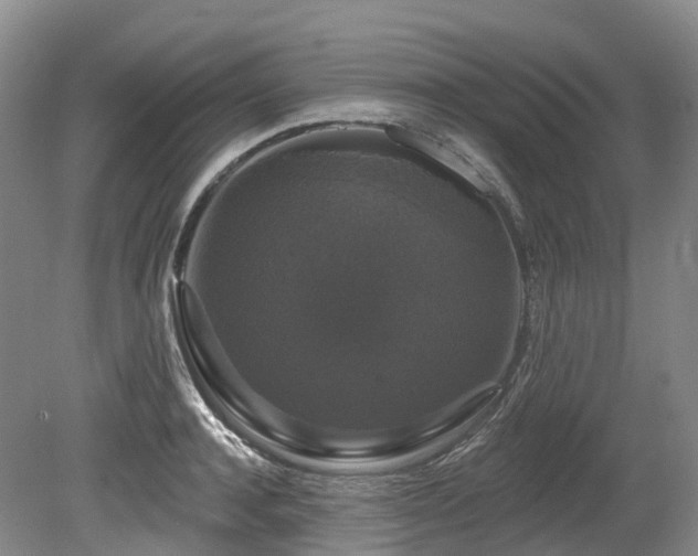 X0000080150944200612081318