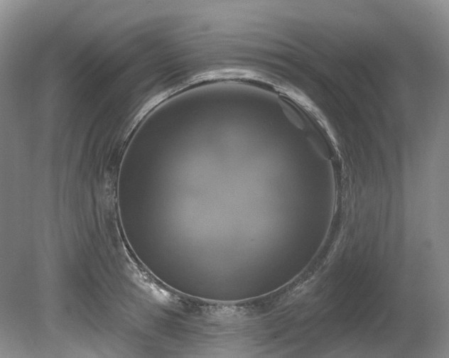 X0000080150945200612081318