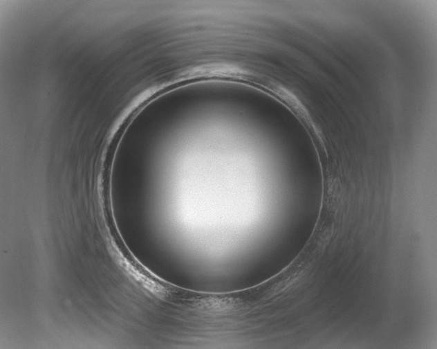 X0000080150947200612081318