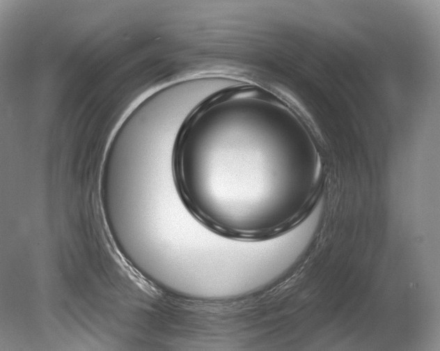X0000080150948200612081318