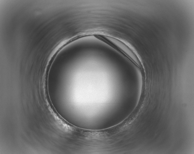 X0000080150949200612081318