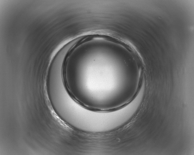 X0000080150952200612081318