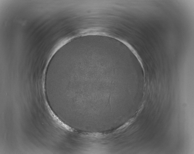 X0000080150957200612081318