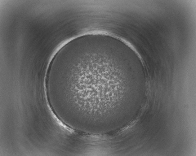 X0000080150959200612081318