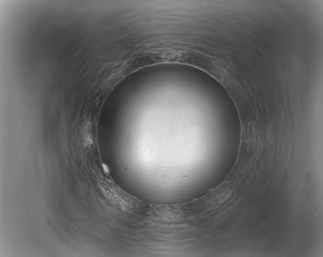 X0000080150962200612081317