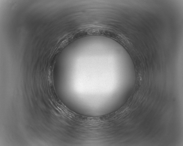 X0000080150964200612081317