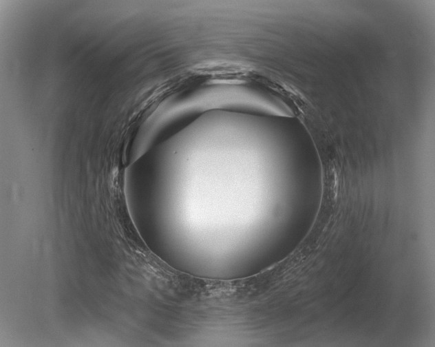 X0000080150965200612081317
