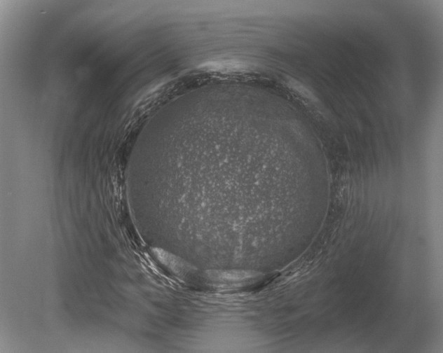 X0000080150966200612081317