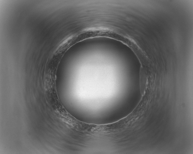 X0000080150967200612081317