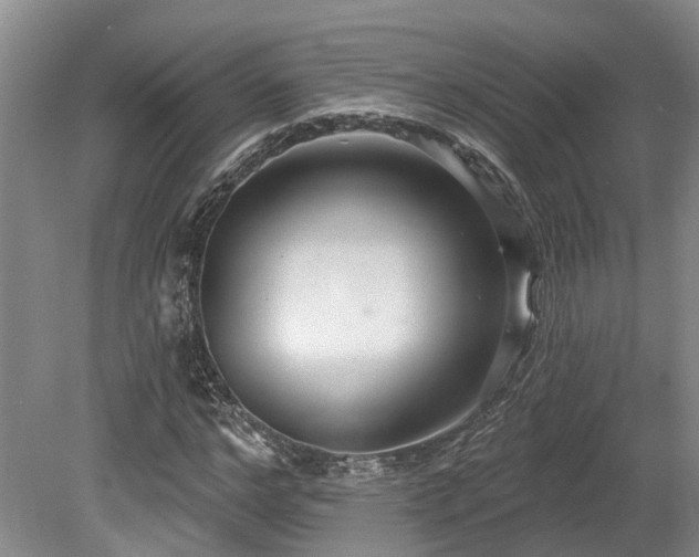 X0000080150968200612081317
