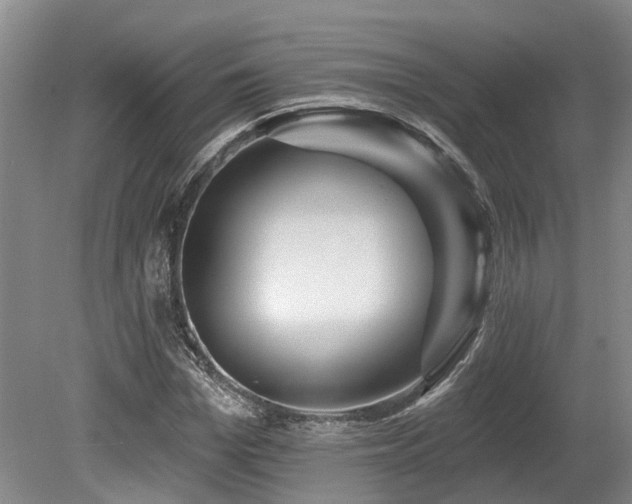 X0000080150969200612081317