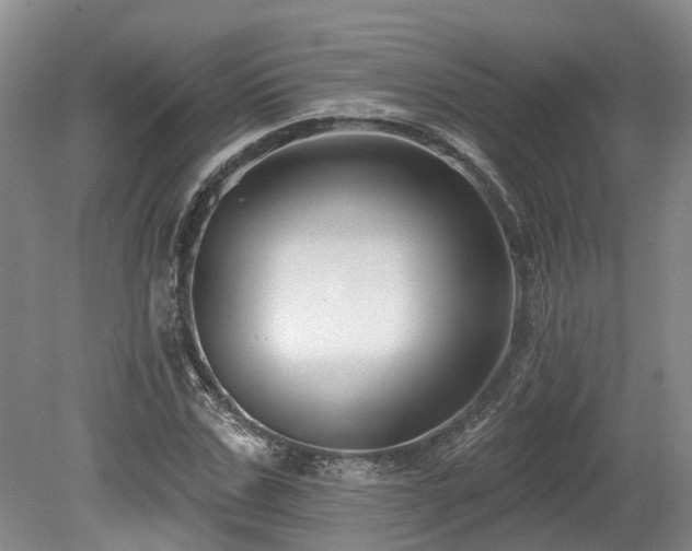 X0000080150971200612081317