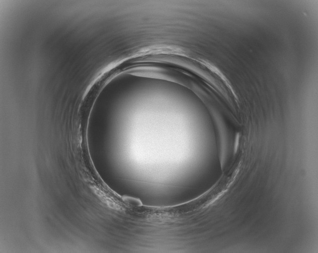 X0000080150973200612081317