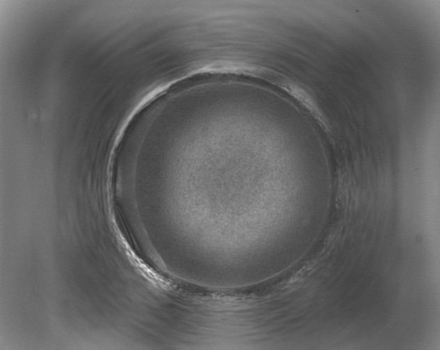 X0000080150976200612081317